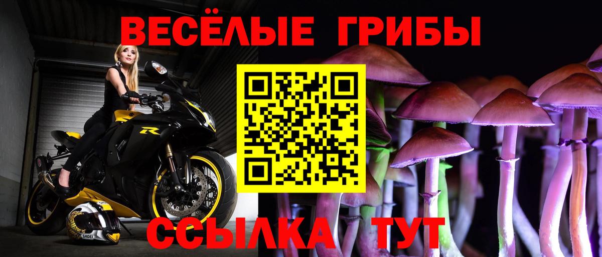 Алатырь  Псилоцибиновые грибы Psilocybe  купить наркотик  Галлюциногенные грибы мицелий  Вход с VPN 